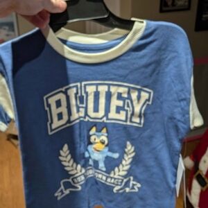 Bluey Girls Blue Graphic Tee - Blue